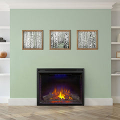 Napoleon Ascent 40-In Dual Voltage Built-In Electric Fireplace